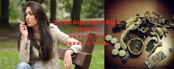 ECSTASY Белокуриха