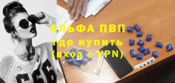 ECSTASY Белокуриха