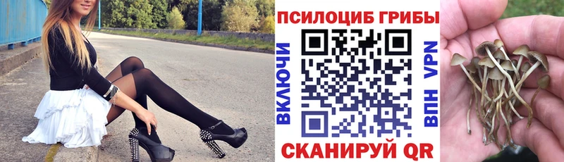 Галлюциногенные грибы прущие грибы  Назарово 